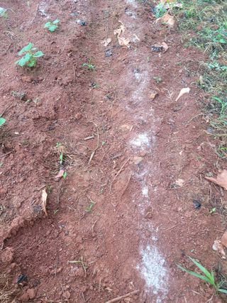 이원우님의 자유주제 · 자유게시판 작성글 사진