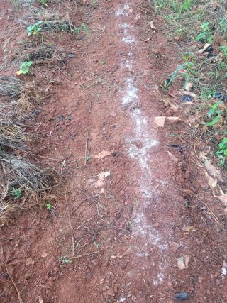 이원우님의 자유주제 · 자유게시판 작성글 사진