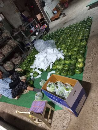 대원농장님의 호박 · 영농일지 작성글 사진