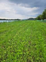 팜모닝 기타작물·영농일지 게시글 이미지