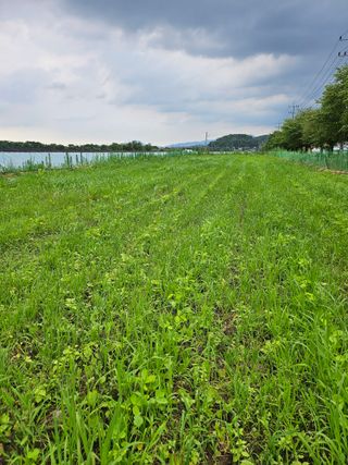 녹우농장님의 기타작물 · 영농일지 작성글 사진