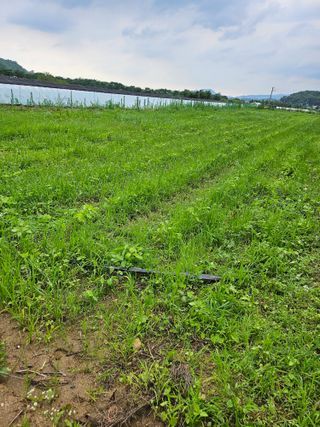 녹우농장님의 기타작물 · 영농일지 작성글 사진