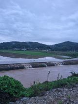 팜모닝 벼·영농일지 게시글 이미지