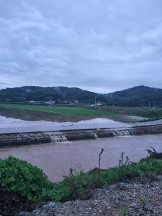 이규현님의 벼 · 영농일지 작성글 사진