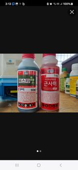 팜모닝 복숭아·영농일지 게시글 이미지