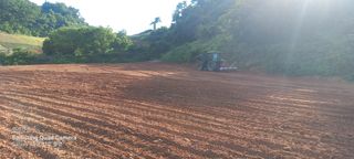 하리마오0928님의 옥수수 · 영농일지 작성글 사진