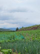 팜모닝 🎉상반기 결산 자랑하기·참여글 게시글 이미지