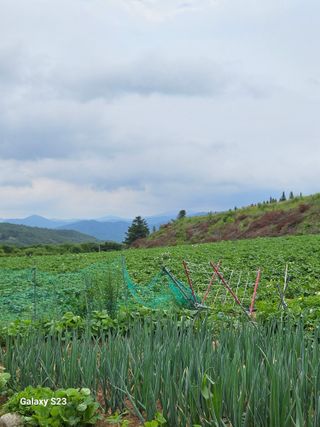 이영자 님의 🎉상반기 결산 자랑하기 · 참여글 작성글 사진