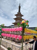 팜모닝 사과·영농일지 게시글 이미지