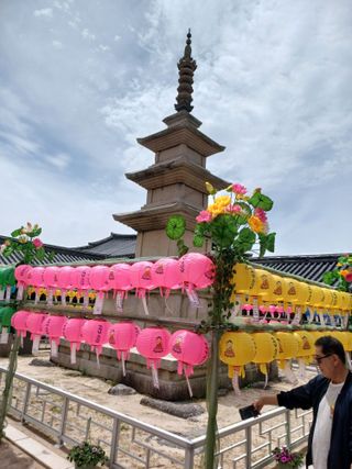 박상준 님의 사과 · 영농일지 작성글 사진