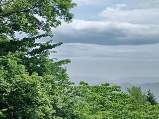 박상준 님의 사과 · 영농일지 작성글 사진