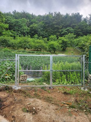 김영명님의 기타작물 · 영농일지 작성글 사진