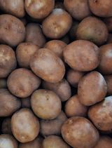 팜모닝 감자·영농일지 게시글 이미지