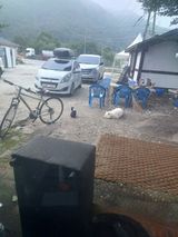 팜모닝 자유주제·사진전 게시글 이미지