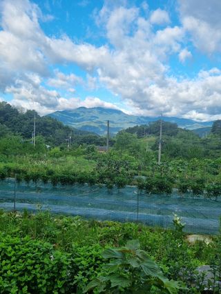 훈&팜님의 고추 · 영농일지 작성글 사진