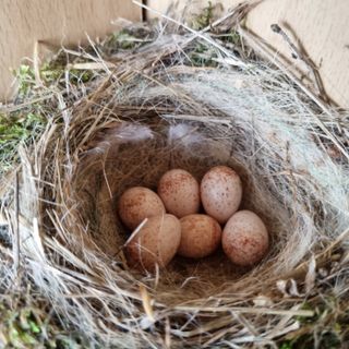 훈&팜님의 고추 · 영농일지 작성글 사진