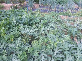 윤대원님의 🎉상반기 결산 자랑하기 · 참여글 작성글 사진