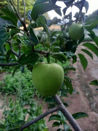 윤대원님의 🎉상반기 결산 자랑하기 · 참여글 작성글 사진