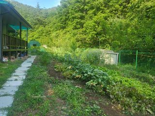 액티브맨님의 고구마 · 영농일지 작성글 사진