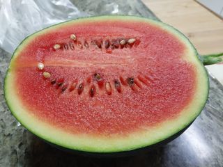 양중진님의 기타작물 · 영농일지 작성글 사진