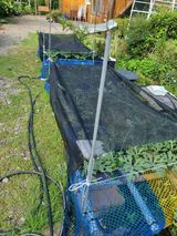 팜모닝 자유주제·자유게시판 게시글 이미지