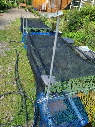 이남신님의 자유주제 · 자유게시판 작성글 사진