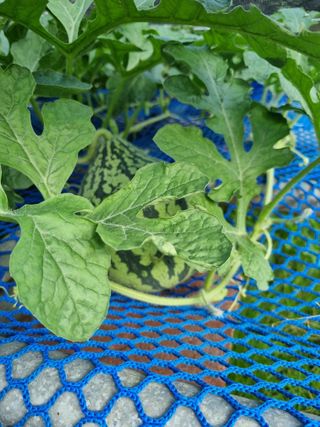 이남신님의 자유주제 · 자유게시판 작성글 사진