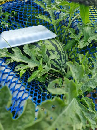 이남신님의 자유주제 · 자유게시판 작성글 사진