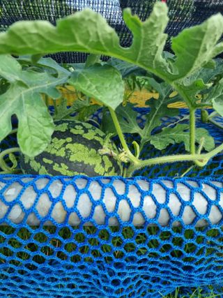 이남신님의 자유주제 · 자유게시판 작성글 사진