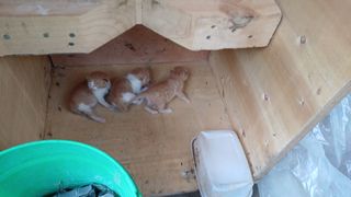 송곡농원님의 자유주제 · 자유게시판 작성글 사진