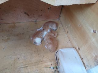 송곡농원님의 자유주제 · 자유게시판 작성글 사진