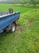 팜모닝 자유주제·자유게시판 게시글 이미지