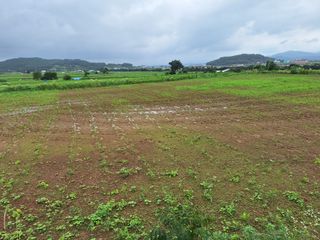보옥농장(부부)님의 콩 · 영농일지 작성글 사진