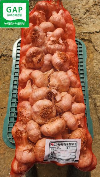 조한솔님의 작성글 사진