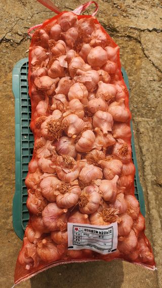 조한솔님의 작성글 사진