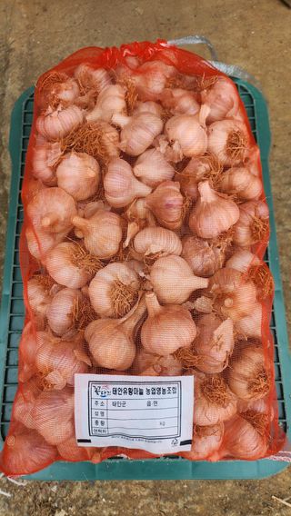 조한솔님의 작성글 사진