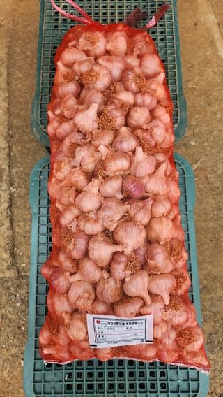 조한솔님의 작성글 사진