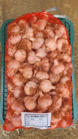 조한솔님의 작성글 사진