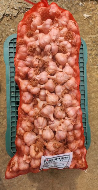 조한솔님의 작성글 사진