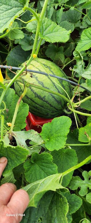 방미용님의 자유주제 · 자유게시판 작성글 사진