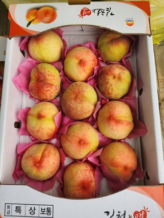 김호영님의 복숭아 · 영농일지 작성글 사진