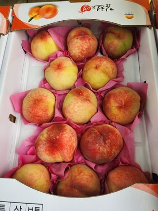 김호영님의 복숭아 · 영농일지 작성글 사진