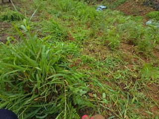 김세리님의 자유주제 · 자유게시판 작성글 사진