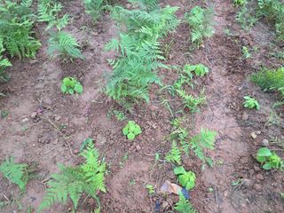 김세리님의 자유주제 · 자유게시판 작성글 사진