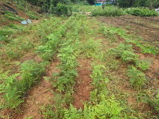 김세리님의 자유주제 · 자유게시판 작성글 사진