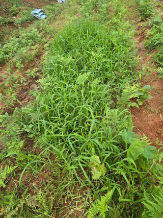 김세리님의 자유주제 · 자유게시판 작성글 사진