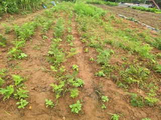 김세리님의 자유주제 · 자유게시판 작성글 사진