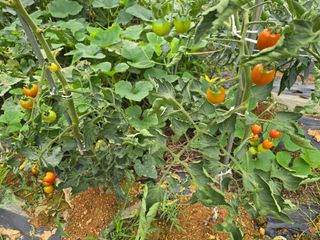 김세리님의 자유주제 · 자유게시판 작성글 사진