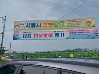 이용주 님의 자유주제 · 자유게시판 작성글 사진