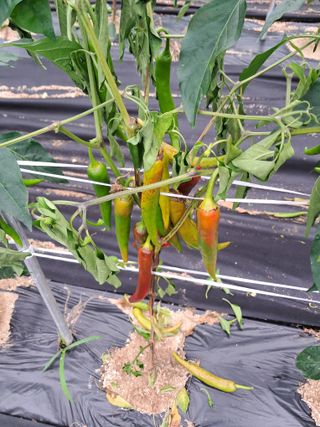 김명기님의 자유주제 · 자유게시판 작성글 사진